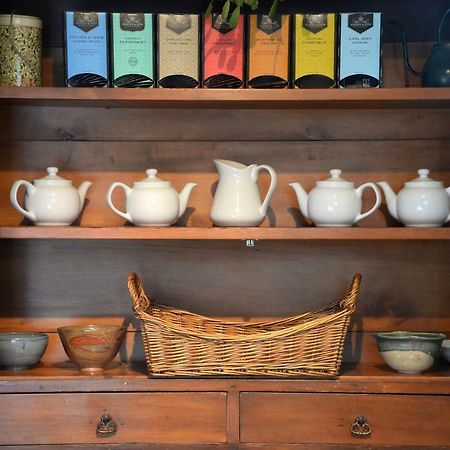 The Springwater Bed And Breakfast Saratoga Springs Luaran gambar
