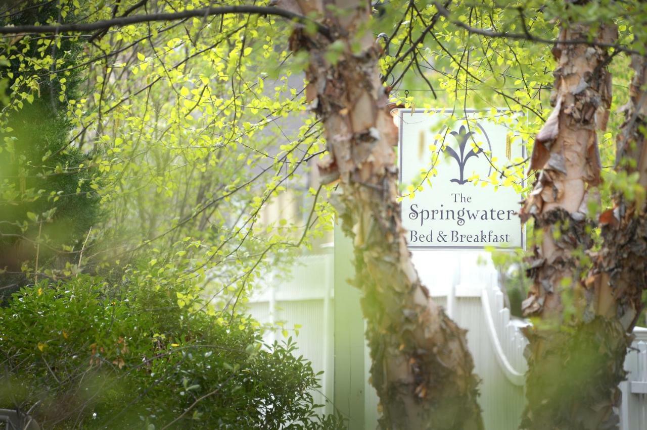 The Springwater Bed And Breakfast Saratoga Springs Luaran gambar